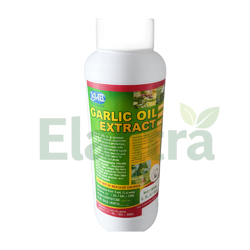 Garlic Oil Extract